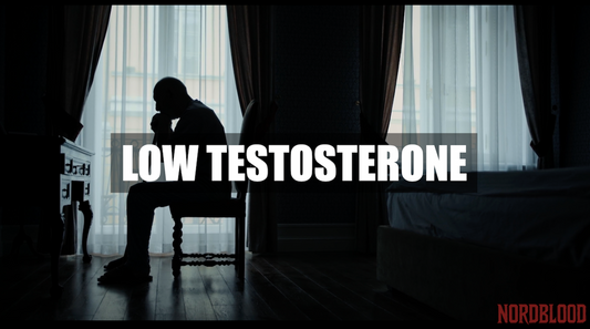 Testosterone & Vitality: Reclaim the Fire